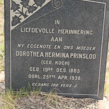 PRINSLOO Dorothea Hermina nee KOCH 1885-1938
