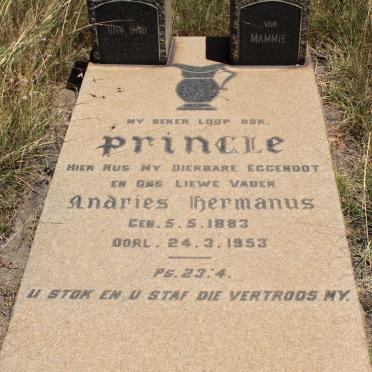 PRINGLE Andries Hermanus 1883-1953