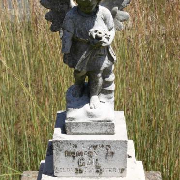 WILSON Gail 1945-1945