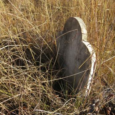 DIPPENAAR Laurens J. -1893