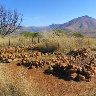 2. Overview / Oorsig