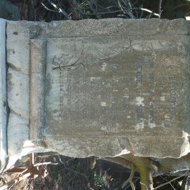 GROBLER Henderik Michael 1859-1908