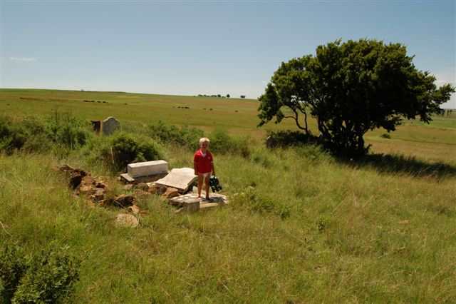 1. Overview of the cemetery