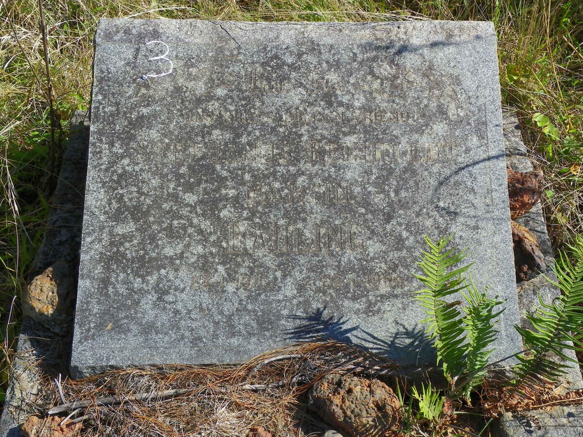 BAULING Stephanus Reinholdt Martin 1916-1964