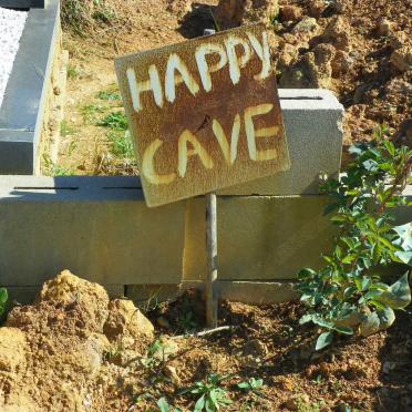CAVE Happy