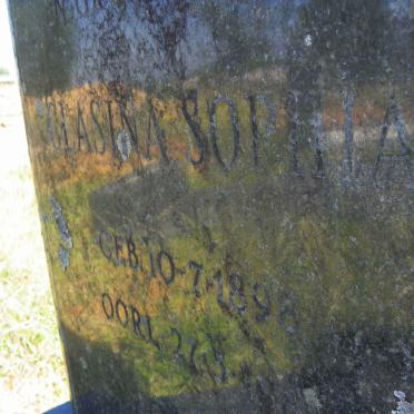 PLESSIS Clasina Sophia, du 1898-1981