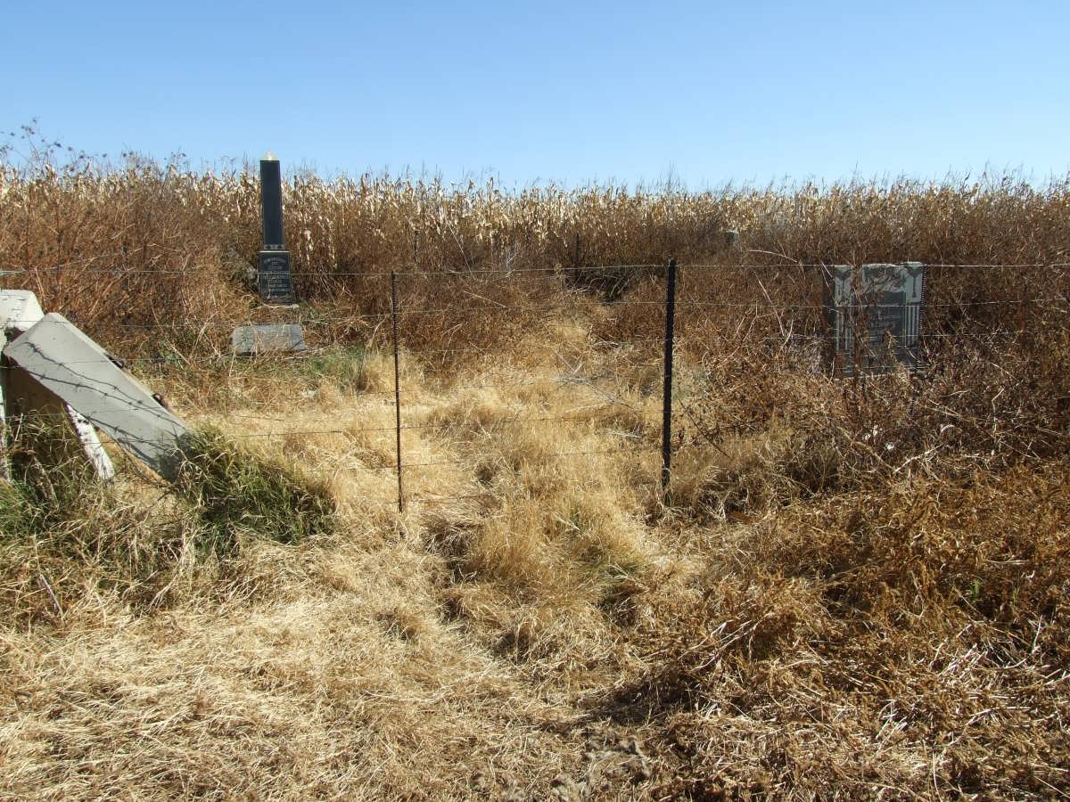 2. Oorsig / Overview