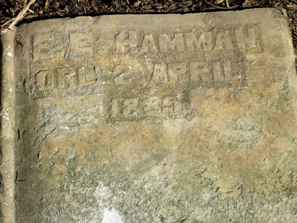 HAMMAN E.E. 1868-1889