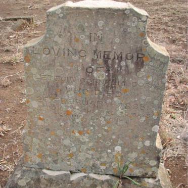 COOK Letecia Cornelia -1895