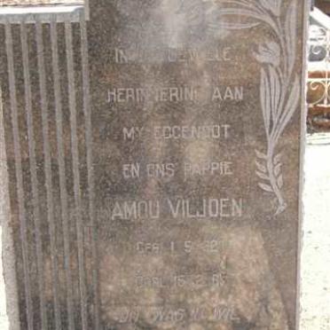 VILJOEN Amou 1932-1965