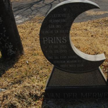MERWE Prins, van der 1993-1993