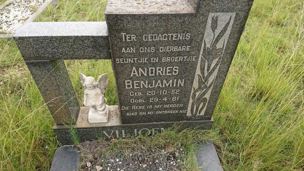 VILJOEN Andries Benjamin 1952-1961