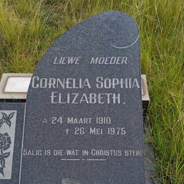 WILLEMSE Cornelia Sophia Elizabeth 1910-1975