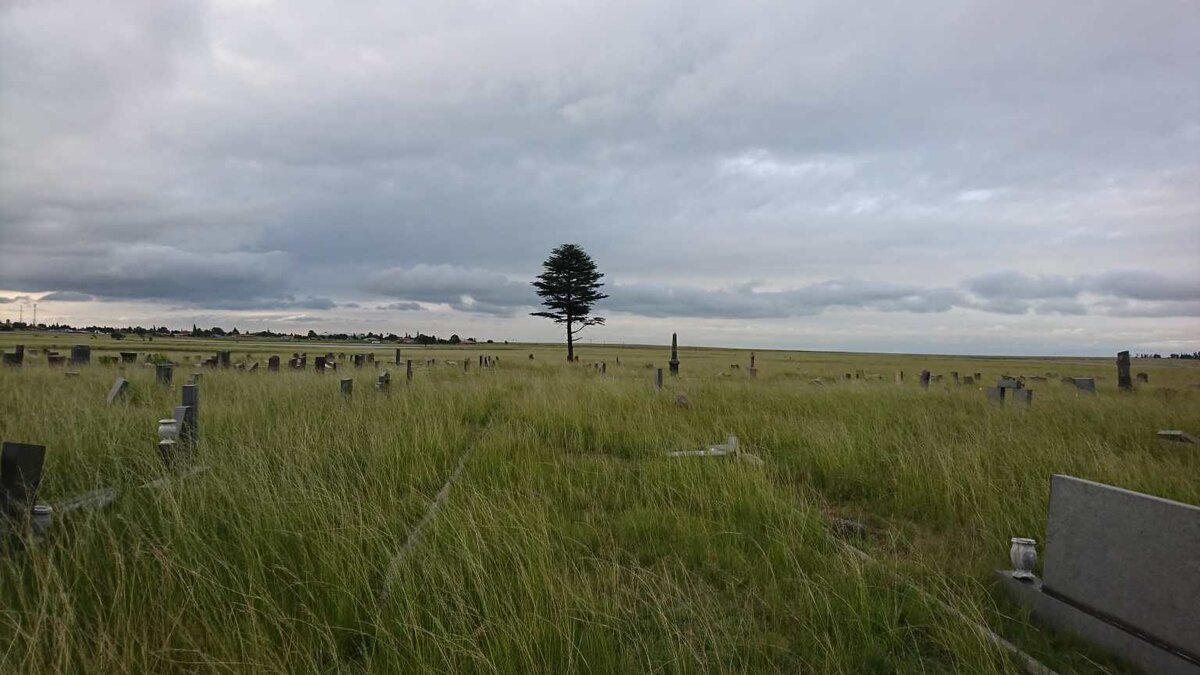 2. Overview / Oorsig