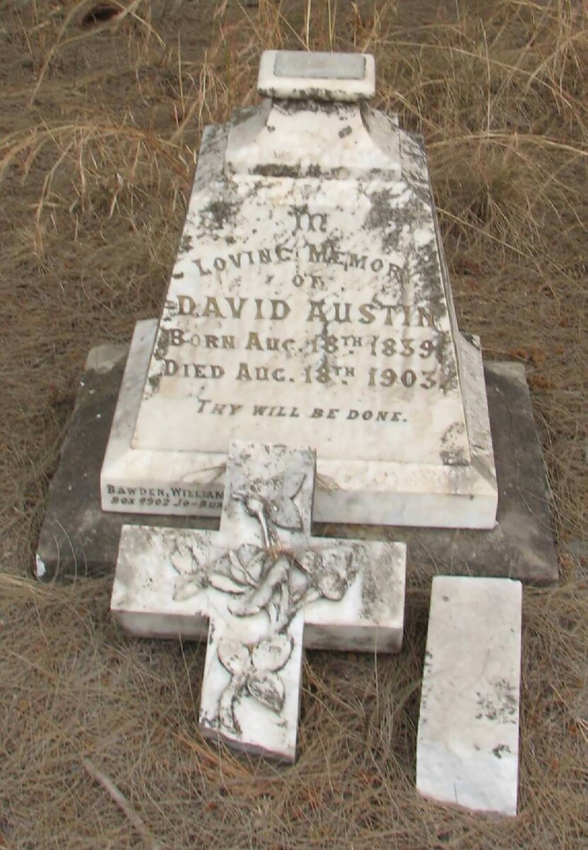 AUSTIN David 1839-1903