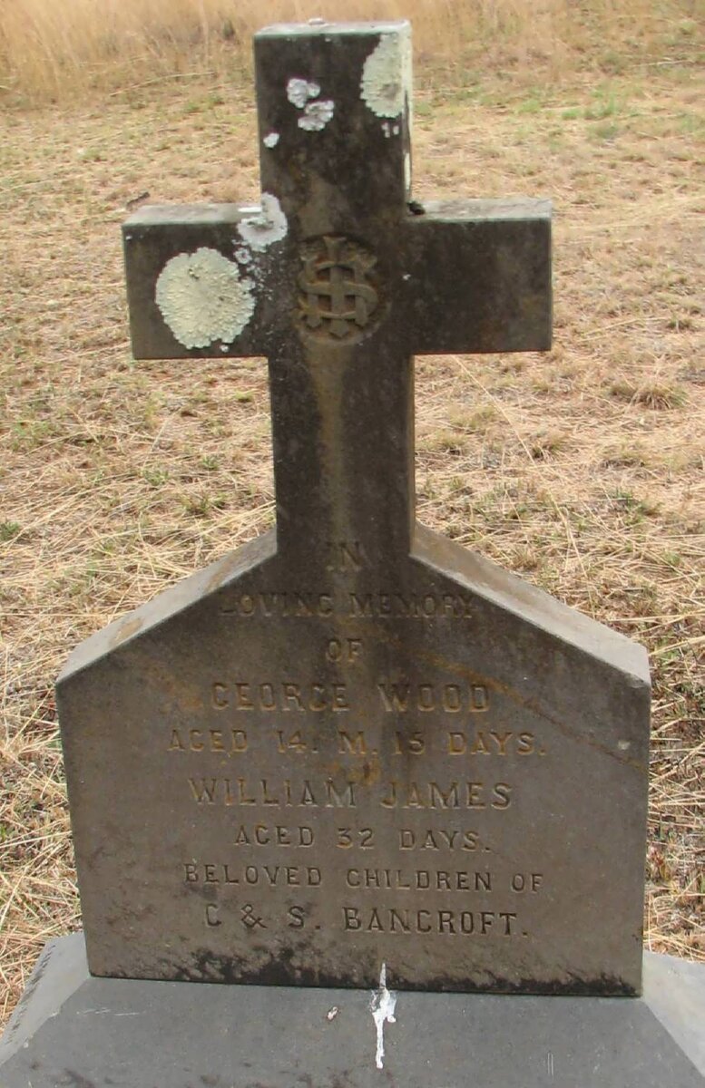 BANCROFT George Wood :: BANCROFT William James 