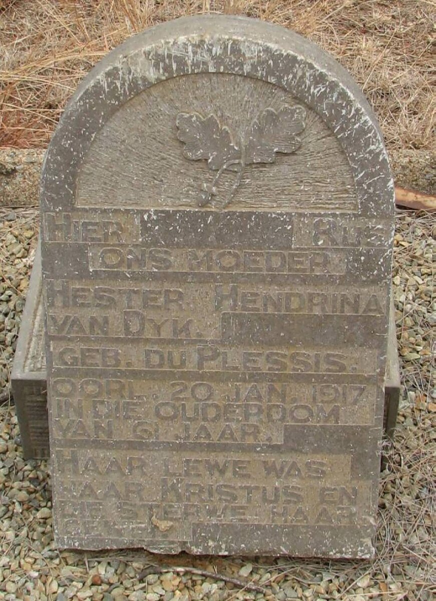 DYK Hester Hendrina, van nee DU PLESSIS -1917