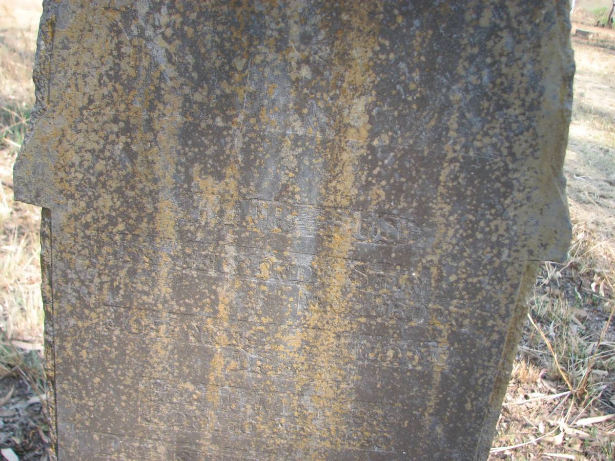 DREYER Johannes Jacobus 1935-1950