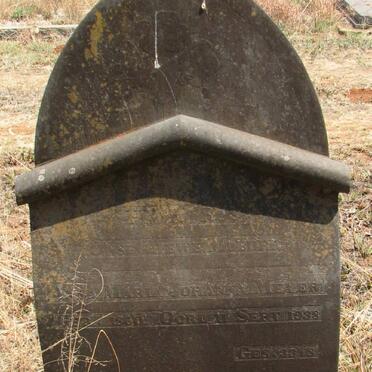 MEYER Maria Johanna 1860-1938