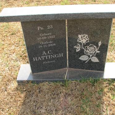 HATTINGH A.C. 1922-2008