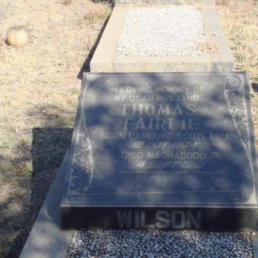 WILSON Thomas Fairlie 1874-1961