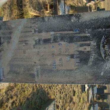 MOOLMAN C. 1878-1920