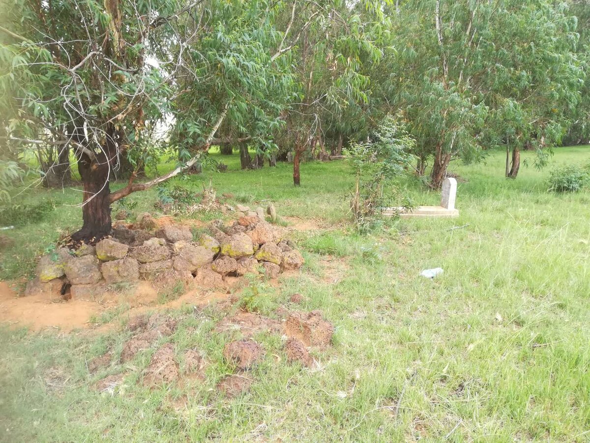 1. Oorsig / Overview