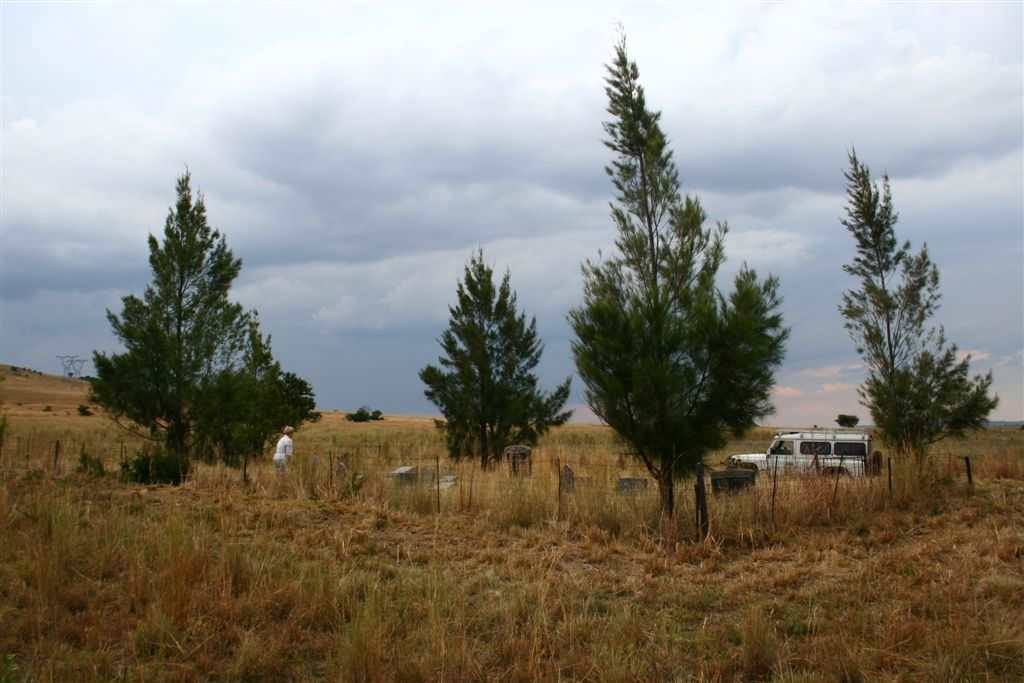 2. Overview / Oorsig