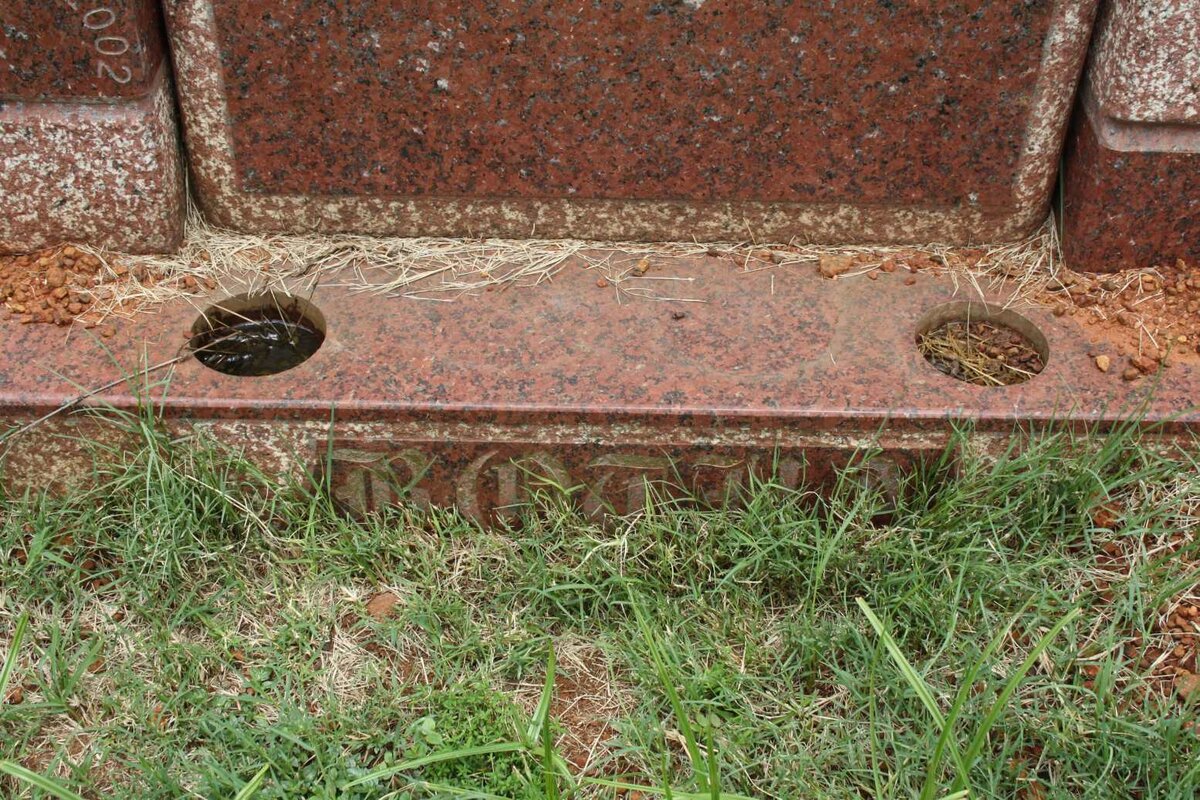 BOTHA Adam 1946–2002 #2