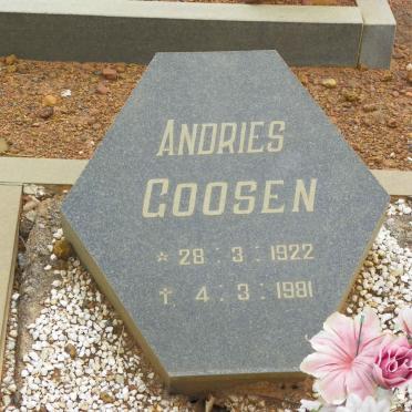 GOOSEN Andries 1922-1981