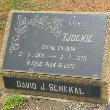 SENEKAL David J. 1908-1975