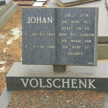 VOLSCHENK Johan 1963-1981
