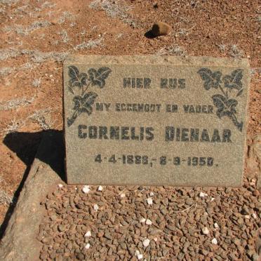 DIENAAR Cornelis 1888-1950