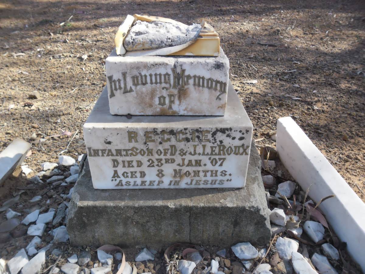 ROUX Reggie, le -1907