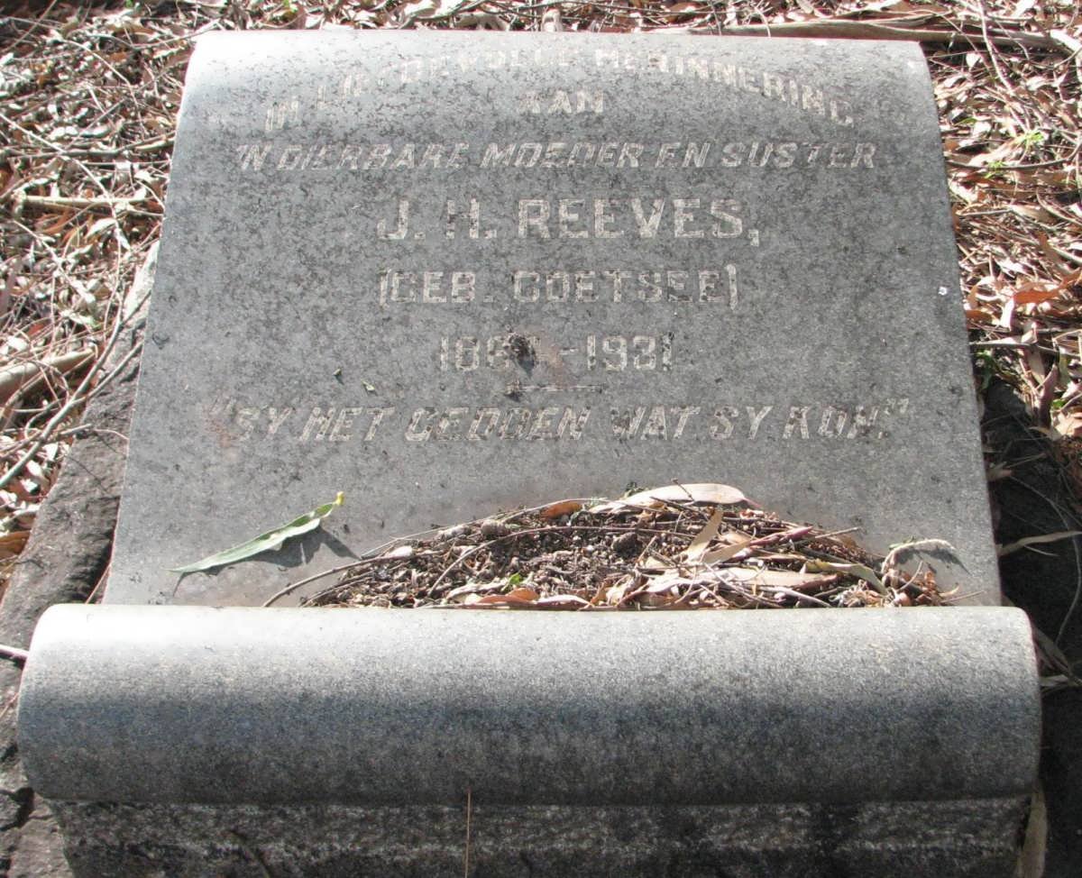 REEVES J.H. nee COETSEE 1864-1931