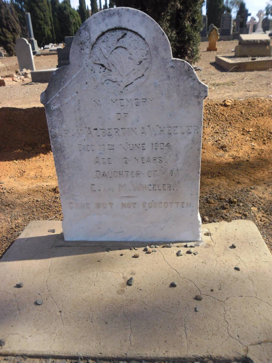 WHEELER ? Albertina -1904