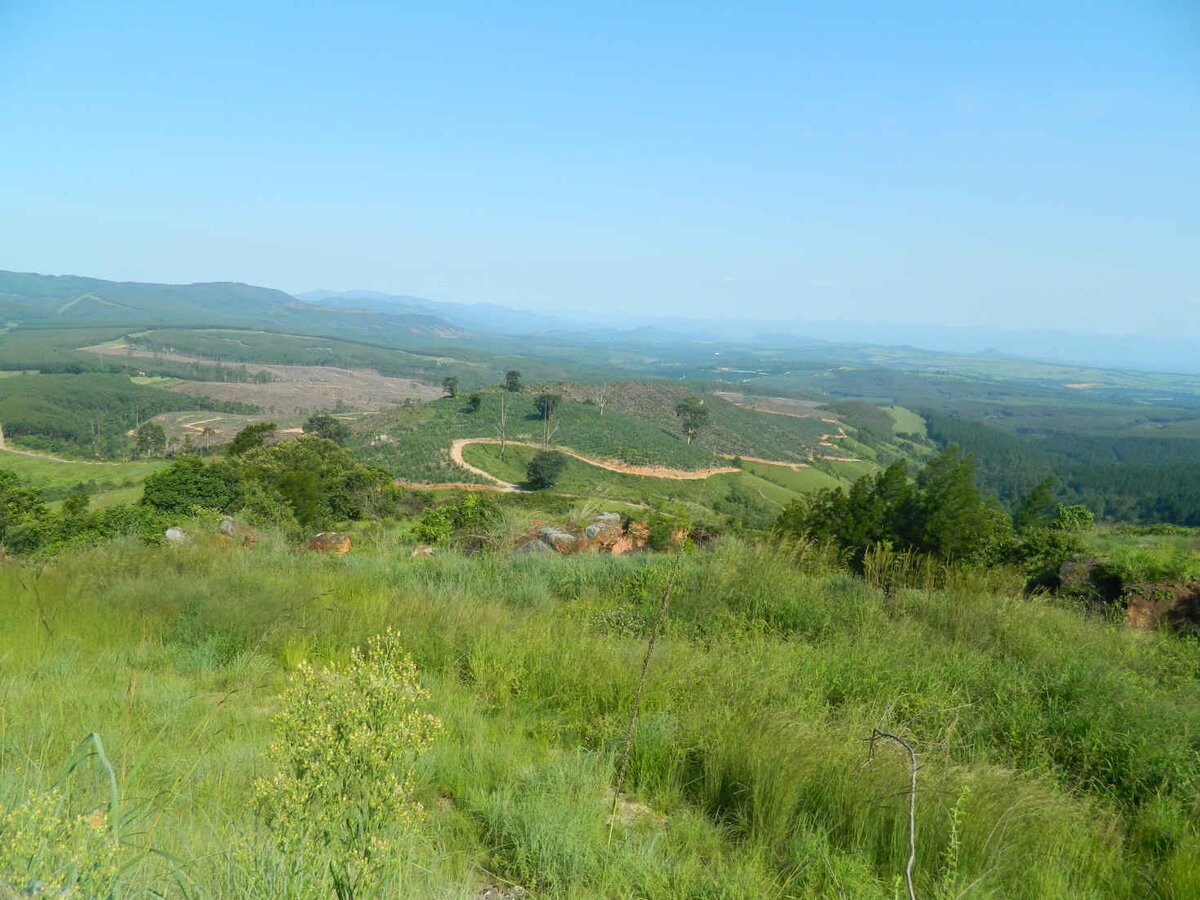 1. Overview / Oorsig