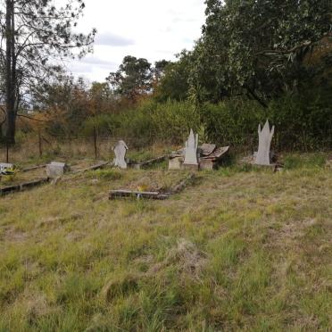 1. Oorsig / overview