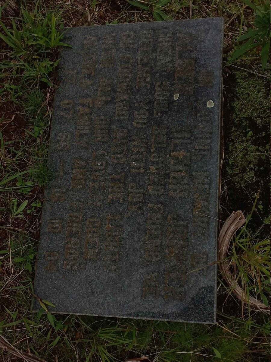 JONKER Albert Ulrich 1956-1994