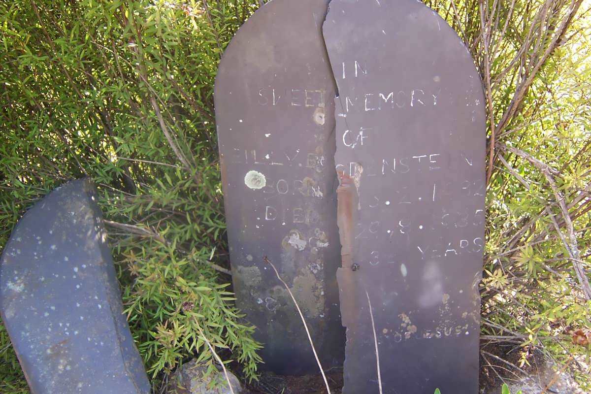 BODENSTEIN Billy 1932-1935