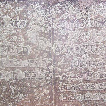 McDERMID Donald  1863-1937 &amp; Aletta Cathrina Johanna  MYBURGH 1875-1937