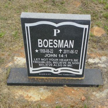 BOESMAN P. 1958-2011