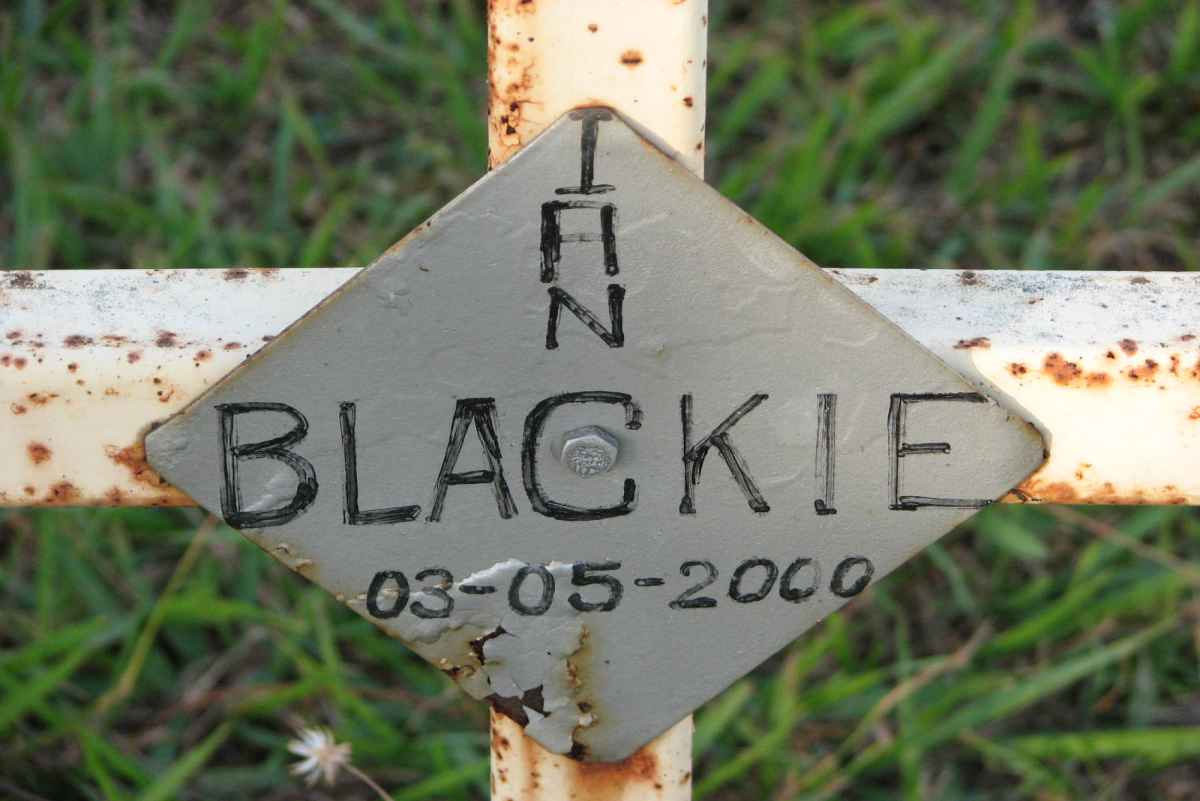 BLACKIE Ian -2000