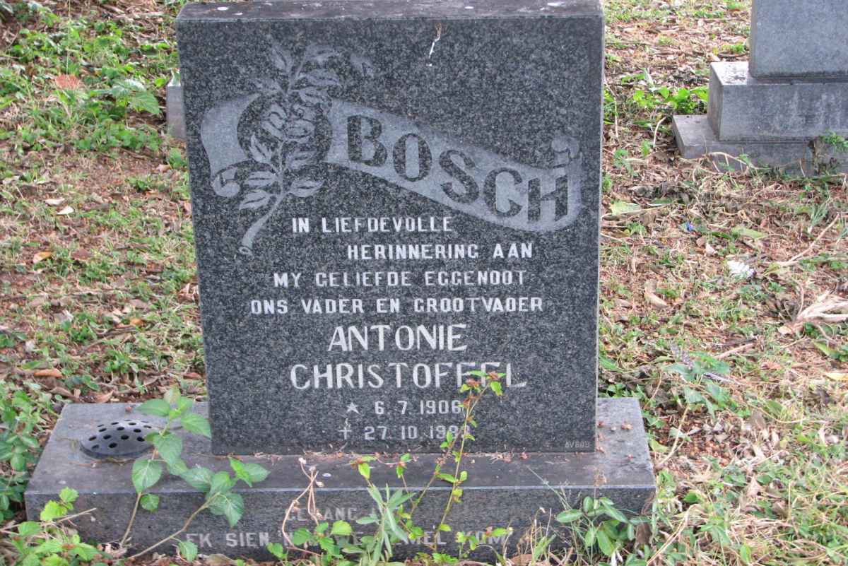 BOSCH Antonie Christoffel 1906-1983