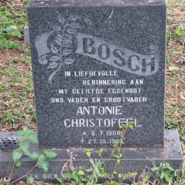 BOSCH Antonie Christoffel 1906-1983