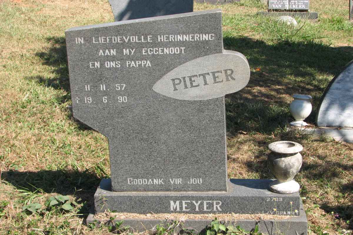 MEYER Pieter 1957-1990