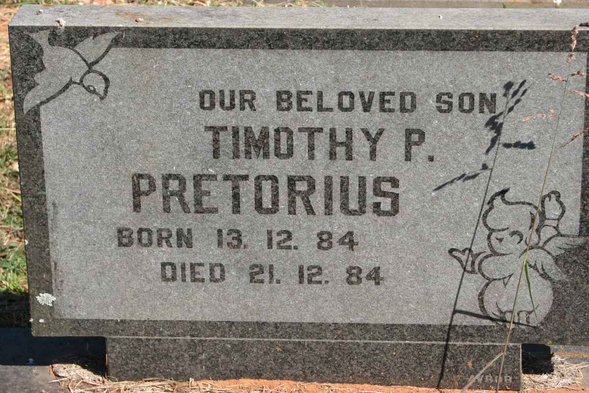 PRETORIUS Timothy P. 1984-1984
