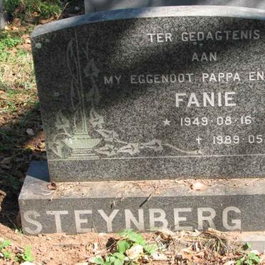 STEYNBERG S.A. 1949-1989