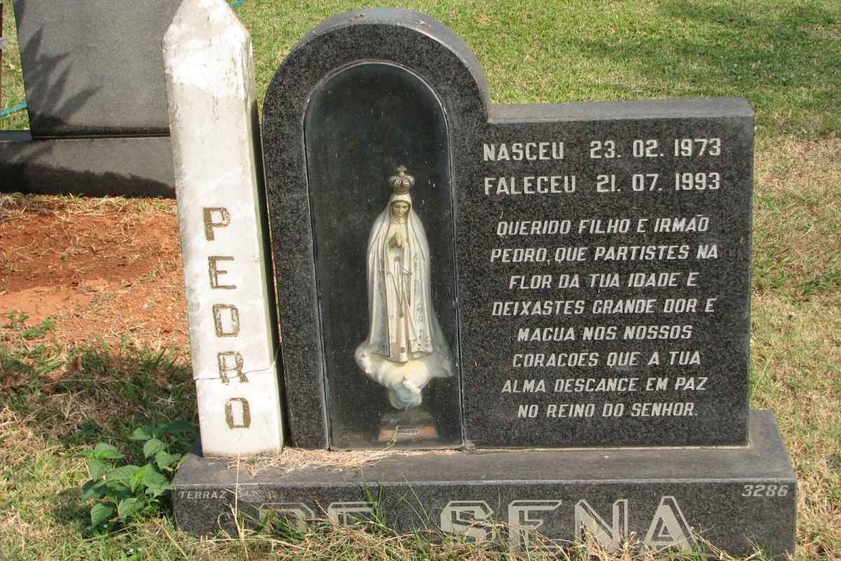 SENA  Pedro, de 1973-1993