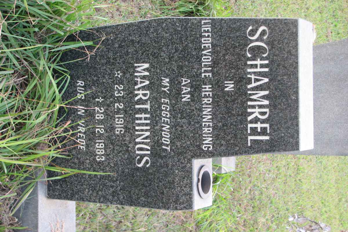 SCHAMREL Marthinus 1916-1983